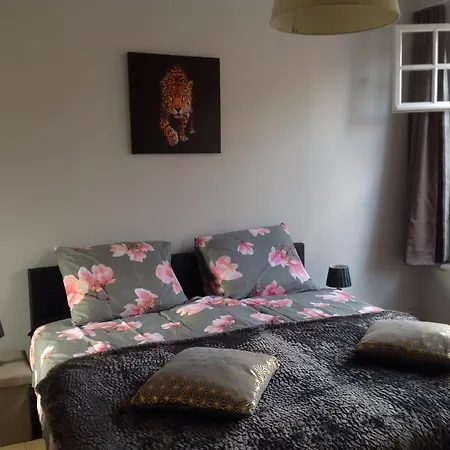 't Beertje Ferienhaus *